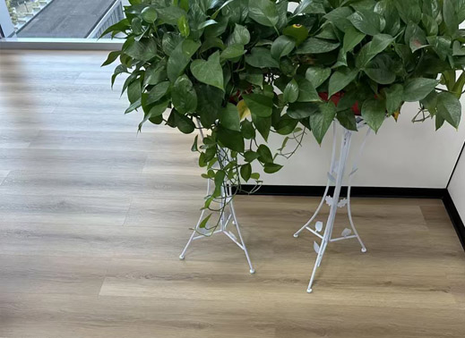 SPC Flooring